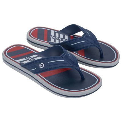 Chinelo Masculino Cartago Palermo Ii - 12572 - Cinza/azul/vermelho - Atacado