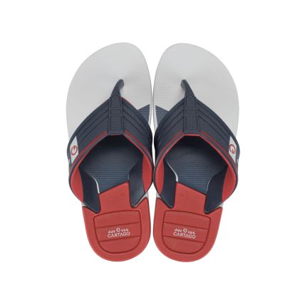 Chinelo Masculino Cartago Dallas - 12216 - Cinza/vermelho/azul - Atacado