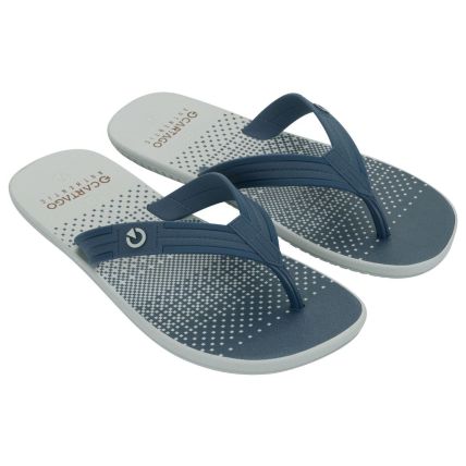 Chinelo Masculino Cartago Atlanta Ii - 12432 - Cinza/azul - Atacado