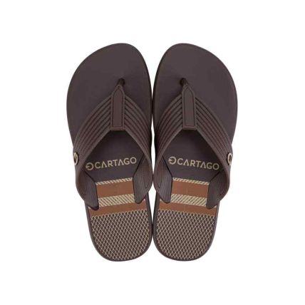 Chinelo Masculino Cartago Montreal - 11729 - Marrom/marrom/bege - Atacado